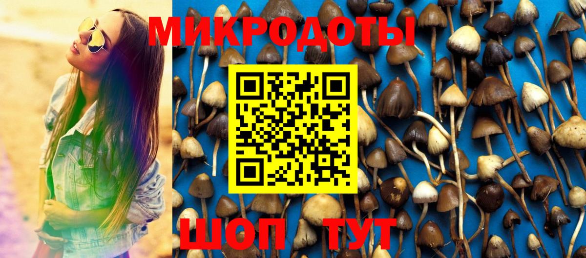 Псилоцибиновые грибы Cubensis Кириши
